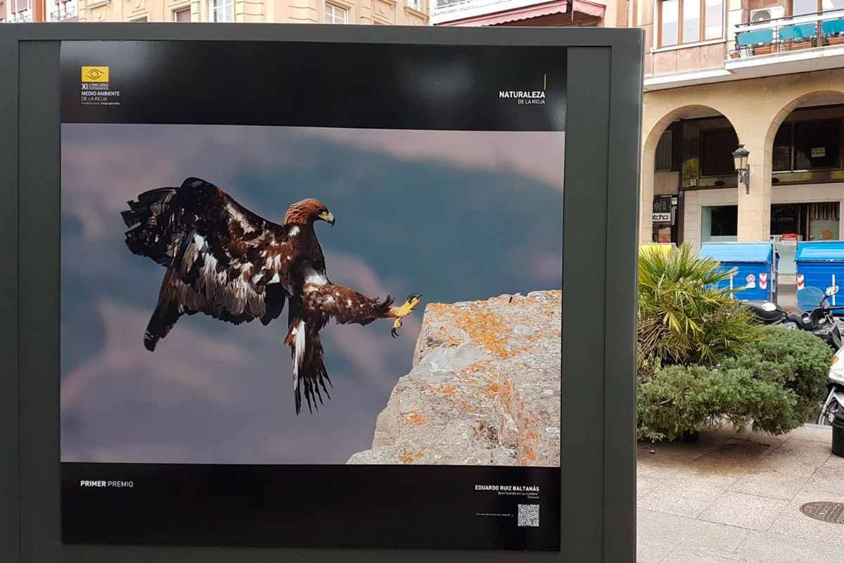 La naturaleza invade la ciudad: Exposición del XI Concurso Fotográfico Medio Ambiente de La Rioja